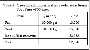Text Box: Table 1.  Operational costs in seabass production in Brunei for a farm of 30 cages
Item	Quantity	Cost
Fry	30,000 pcs	15,000
Feed	10,800 kg	25,920
labour/infrastructure		52,058
Total 		92,978

